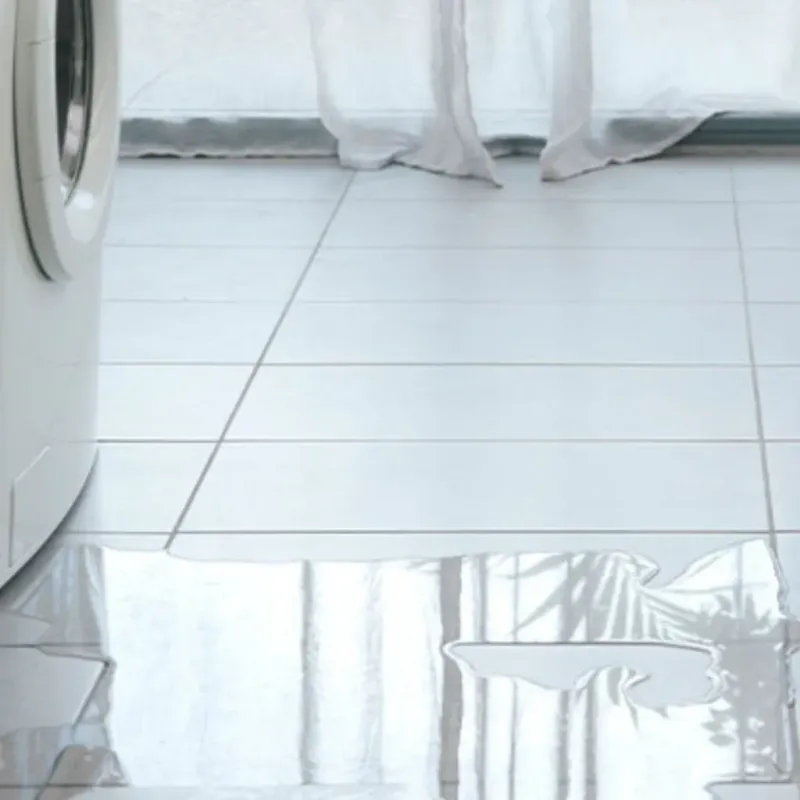 Appliance Leak Cleanup in Somerville, TX