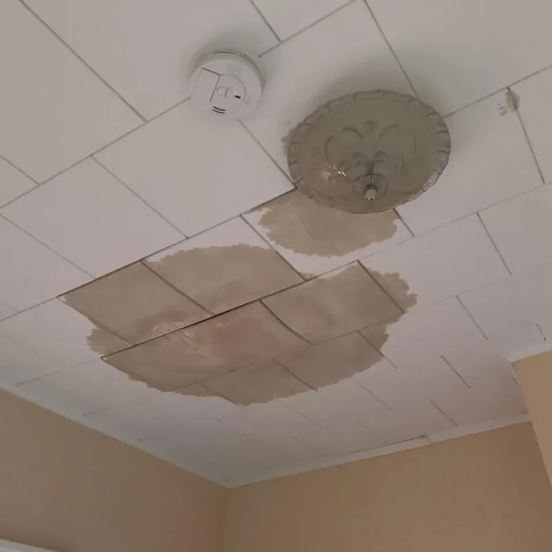Ceiling Water Damage Repair in Somerville, TX