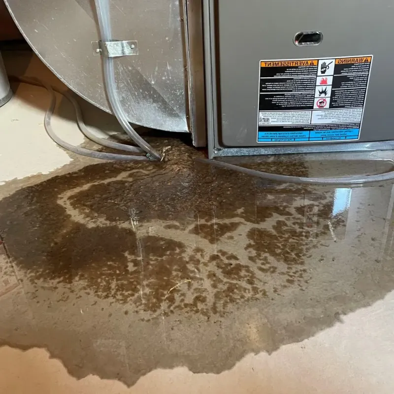 Pipe Burst and Leak Restoration in Somerville, TX