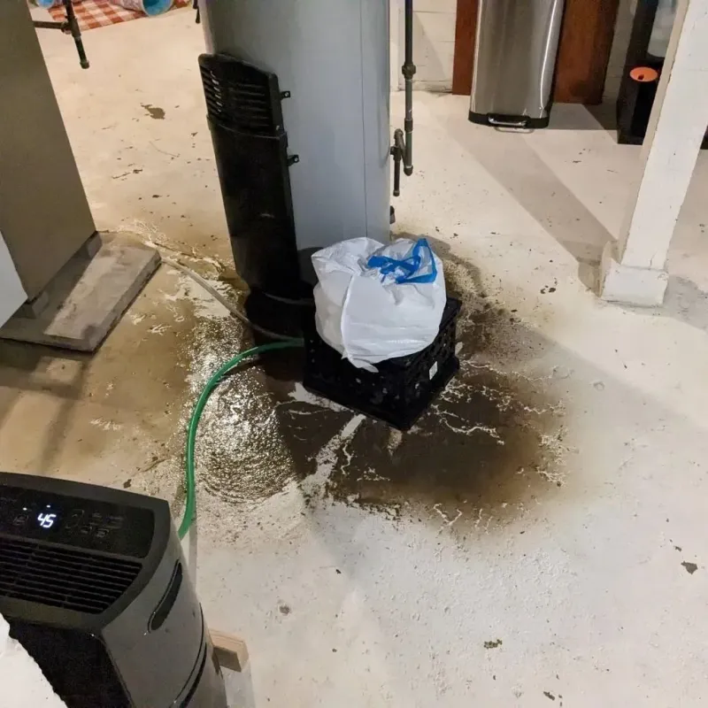 Sewage Backup Cleanup Service in Somerville, TX